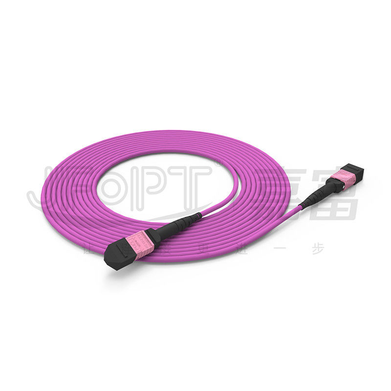 100G MTP Patch Cord 24 แกนมัลติโหมด OM4 50/125 LSZH 3.0-4.0mm Heather Violet Jumper