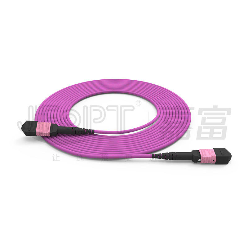 100G MTP Patch Cord 24 แกนมัลติโหมด OM4 50/125 LSZH 3.0-4.0mm Heather Violet Jumper