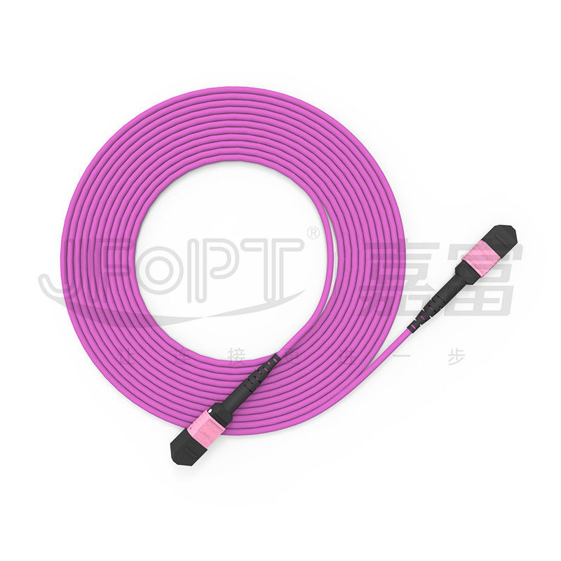 100G MTP Patch Cord 24 แกนมัลติโหมด OM4 50/125 LSZH 3.0-4.0mm Heather Violet Jumper
