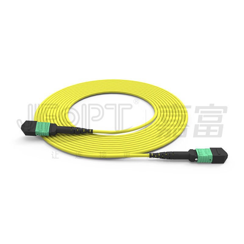 MTP 24 Core Single Mode OS2 ขั้ว A OFNP UL Rated Fiber Optic Patch Cord